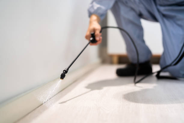 Licensed Pest Control service in Rosharon, TX - Show Me Pest Control