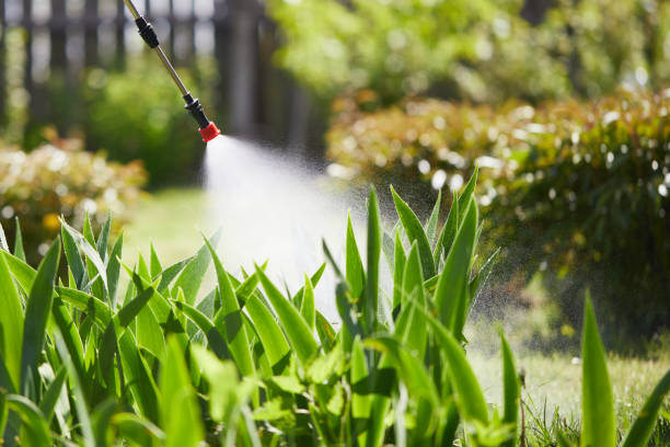 Tamper-Resistant Bait Stations for Rodents in Rosharon