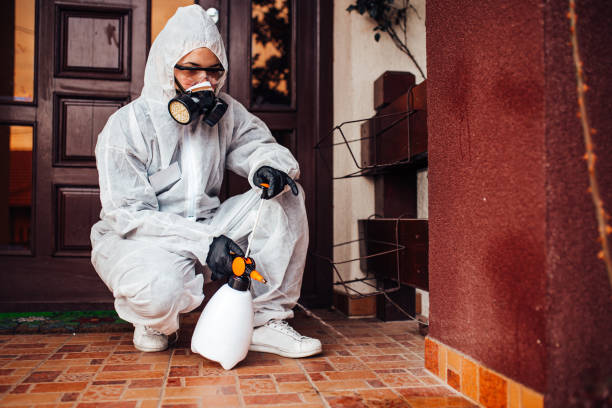 Attic and Crawl Space Rodent Treatment in Rosharon