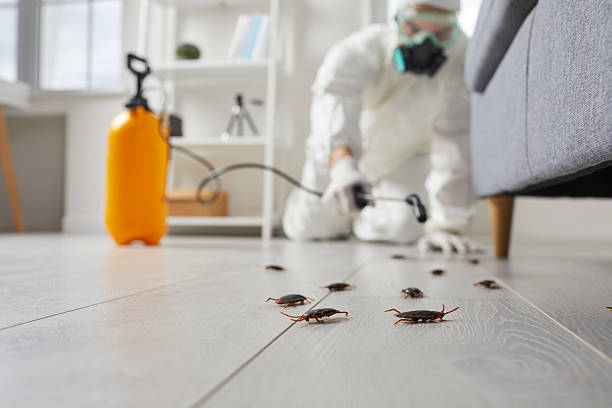 Commercial Rodent Management in Rosharon